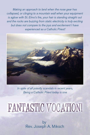 Fantastic Vocation!,Used