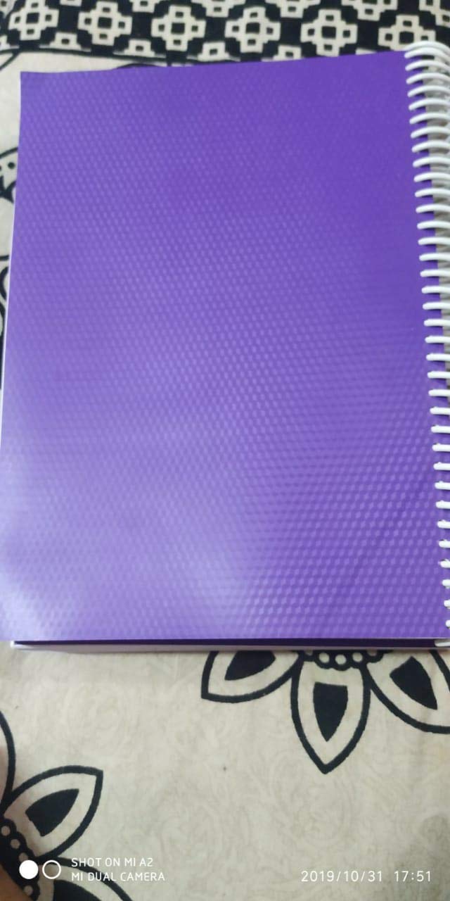 Study Guide and Solutions Manual for iGenetics: A Molecular Approach,New