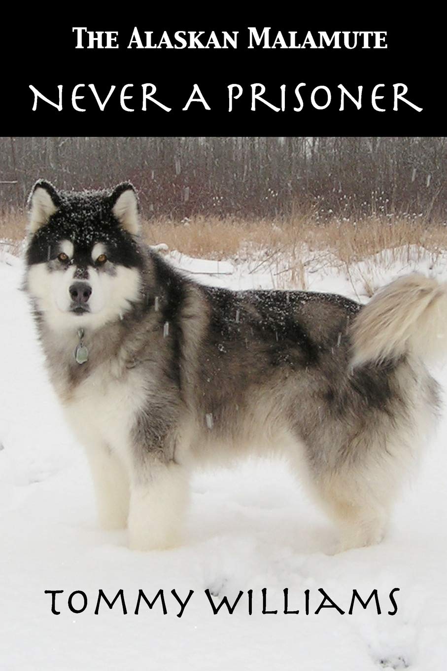 The Alaskan Malamute: Never A Prisoner,Used