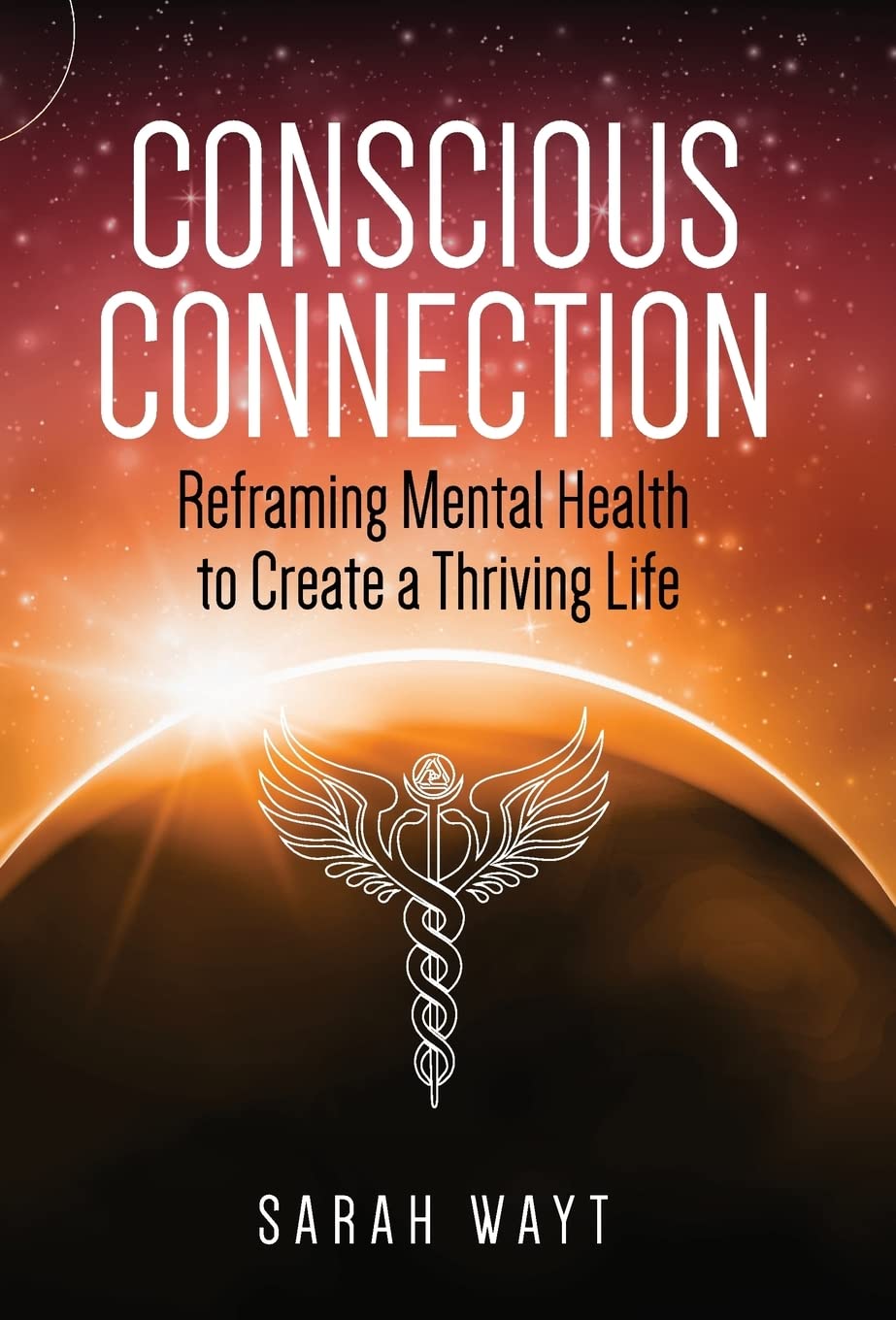 Conscious Connection: Reframing Mental Health to Create a Thriving Life,Used