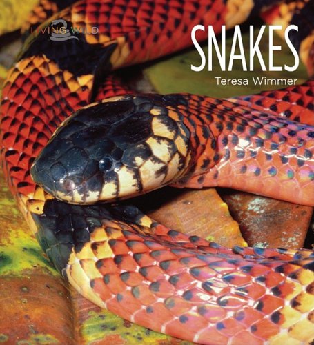 Snakes (Living Wild)