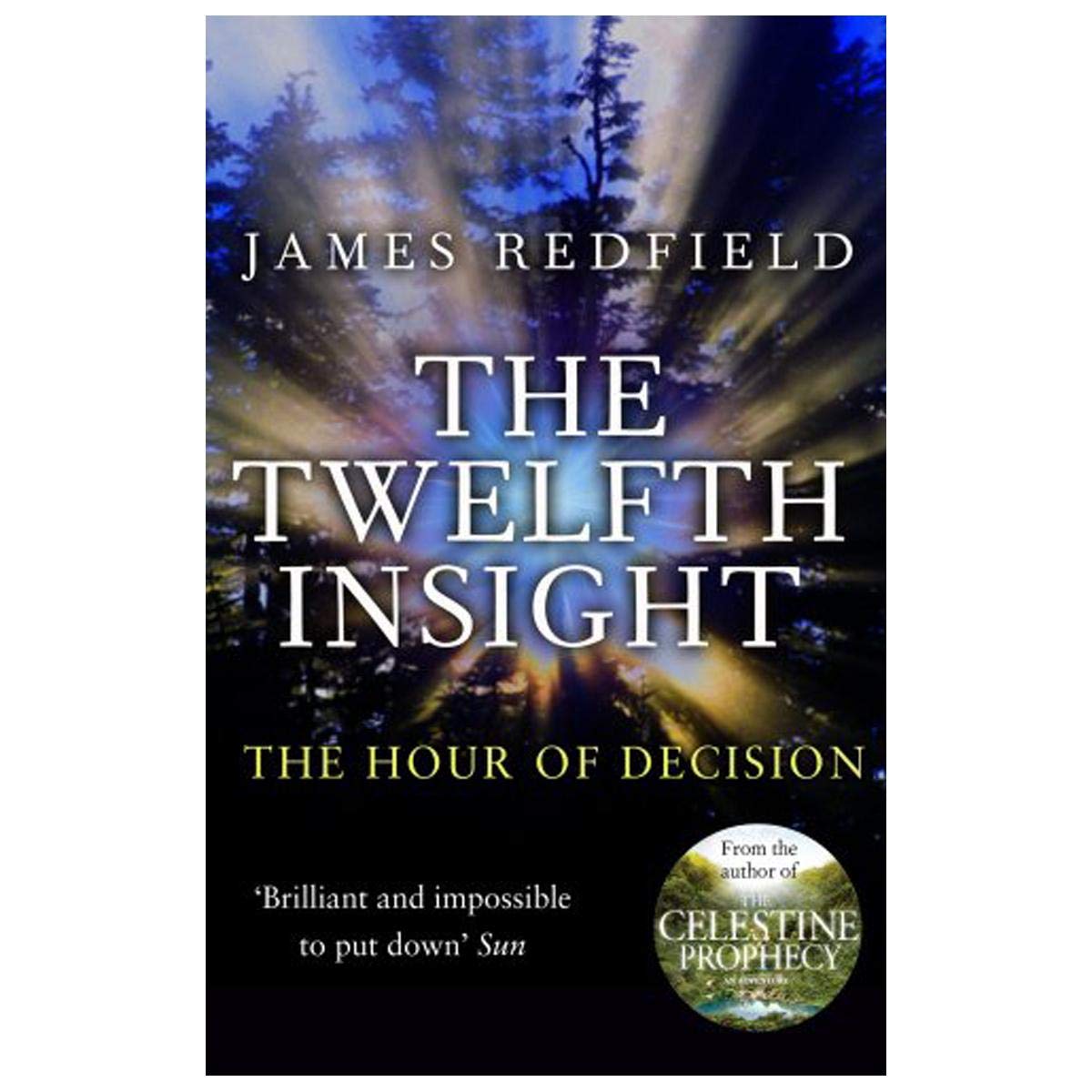 The Twelfth Insight: The Hour of Decision (Celestine Series),Used