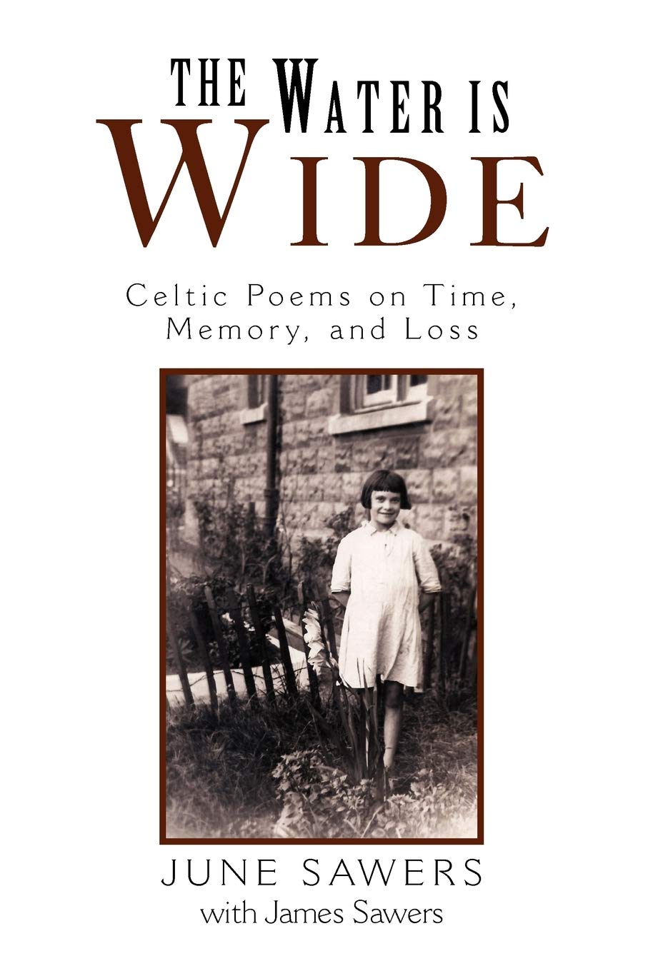 The Water Is Wide: Celtic Poems On Time, Memory, And Loss,Used
