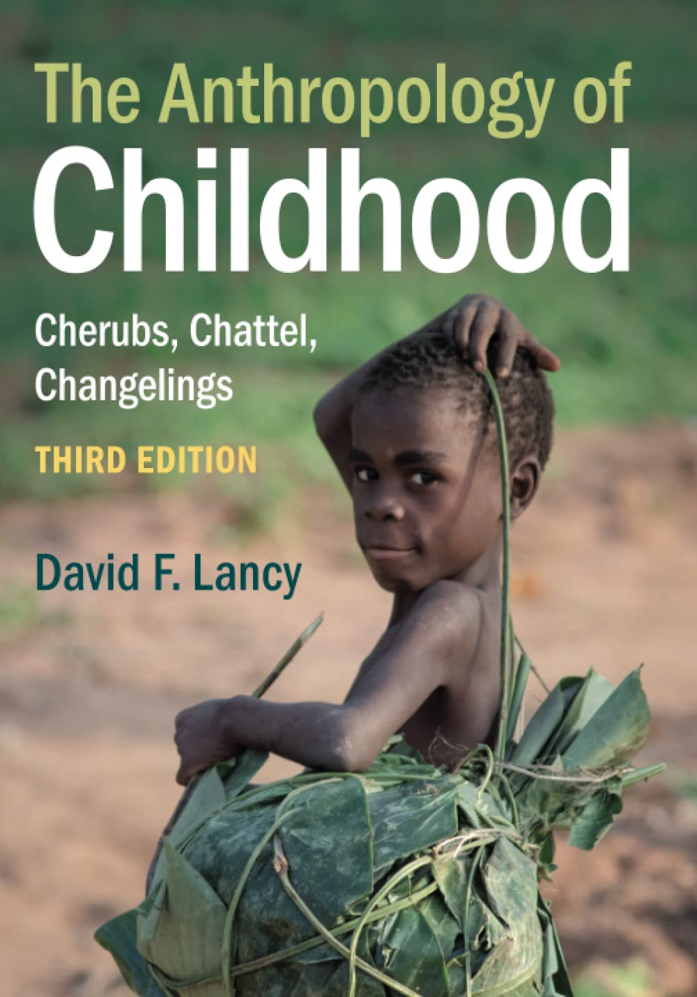 The Anthropology of Childhood,Used