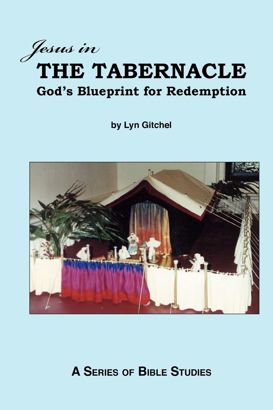 Jesus In The Tabernacle: God'S Blueprint For Redemption,Used