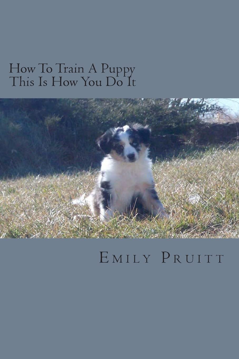 How To Train A Puppy  This Is How You Do It,Used