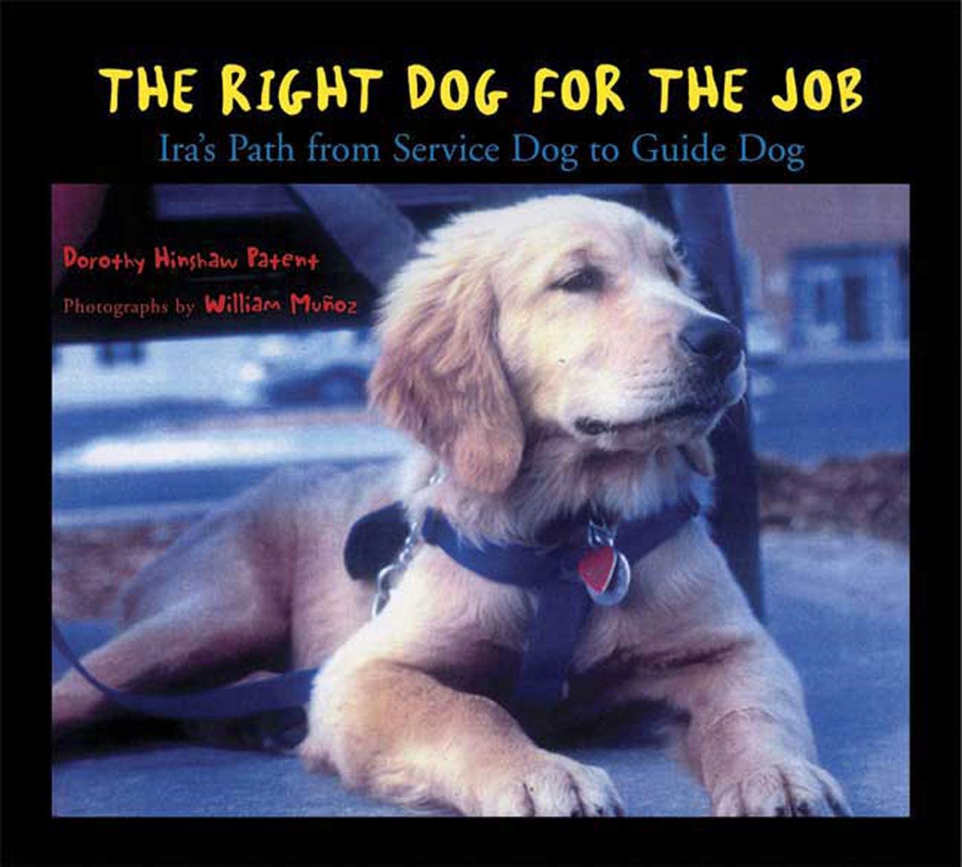 The Right Dog for the Job: Ira's Path from Service Dog to Guide Dog,Used