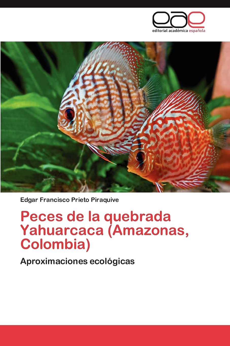 Peces de la quebrada Yahuarcaca (Amazonas, Colombia): Aproximaciones ecolgicas (Spanish Edition),Used