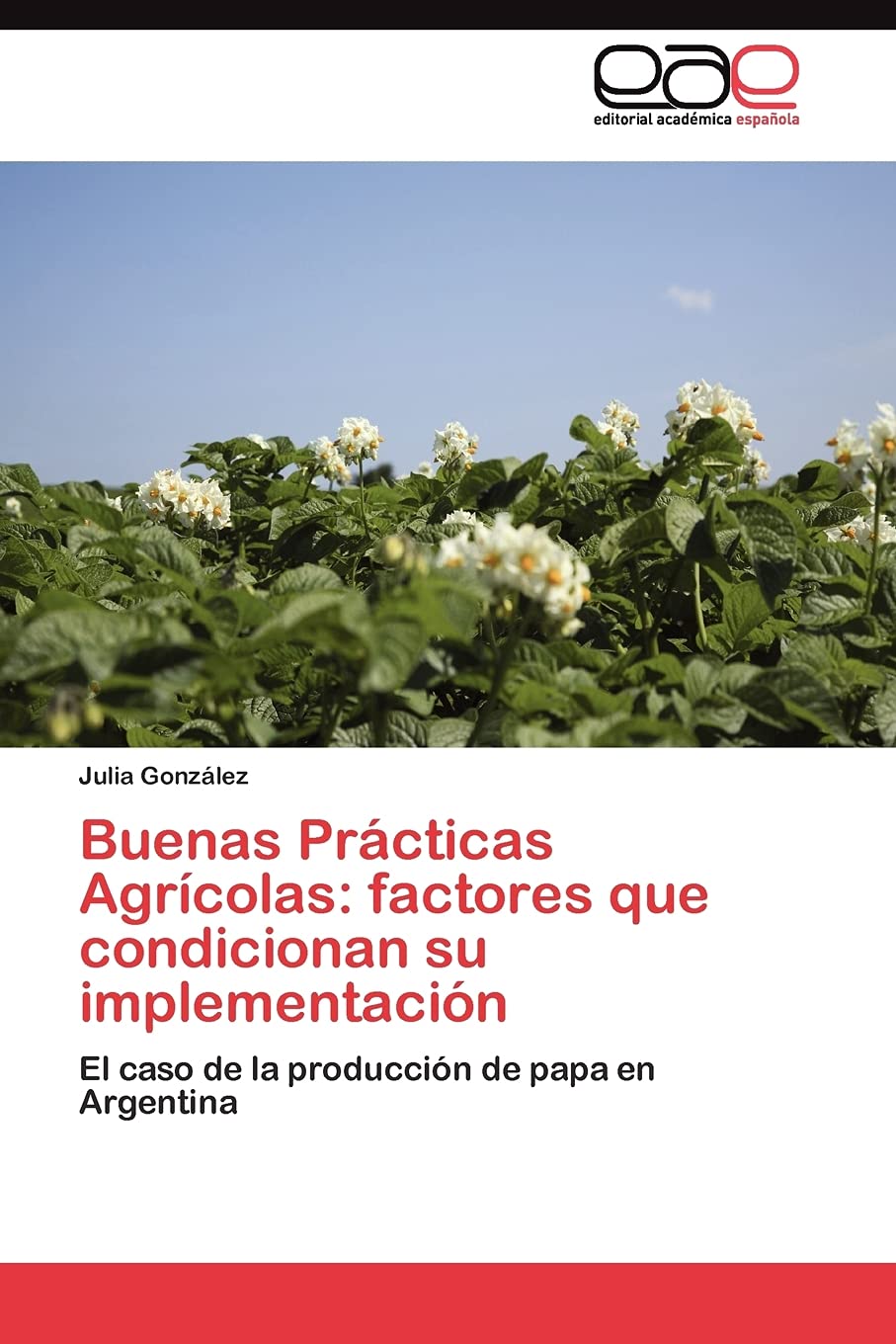Buenas Prcticas Agrcolas: factores que condicionan su implementacin: El caso de la produccin de papa en Argentina (Spani,Used