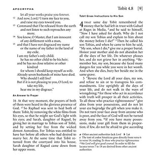 NRSV XL with Apocrypha (burgundy),Used