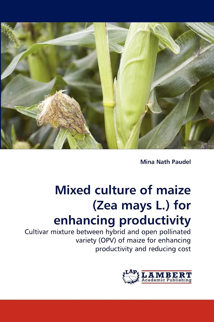 Mixed culture of maize (Zea mays L.) for enhancing productivity: Cultivar mixture between hybrid and open pollinated variety (OP,Used