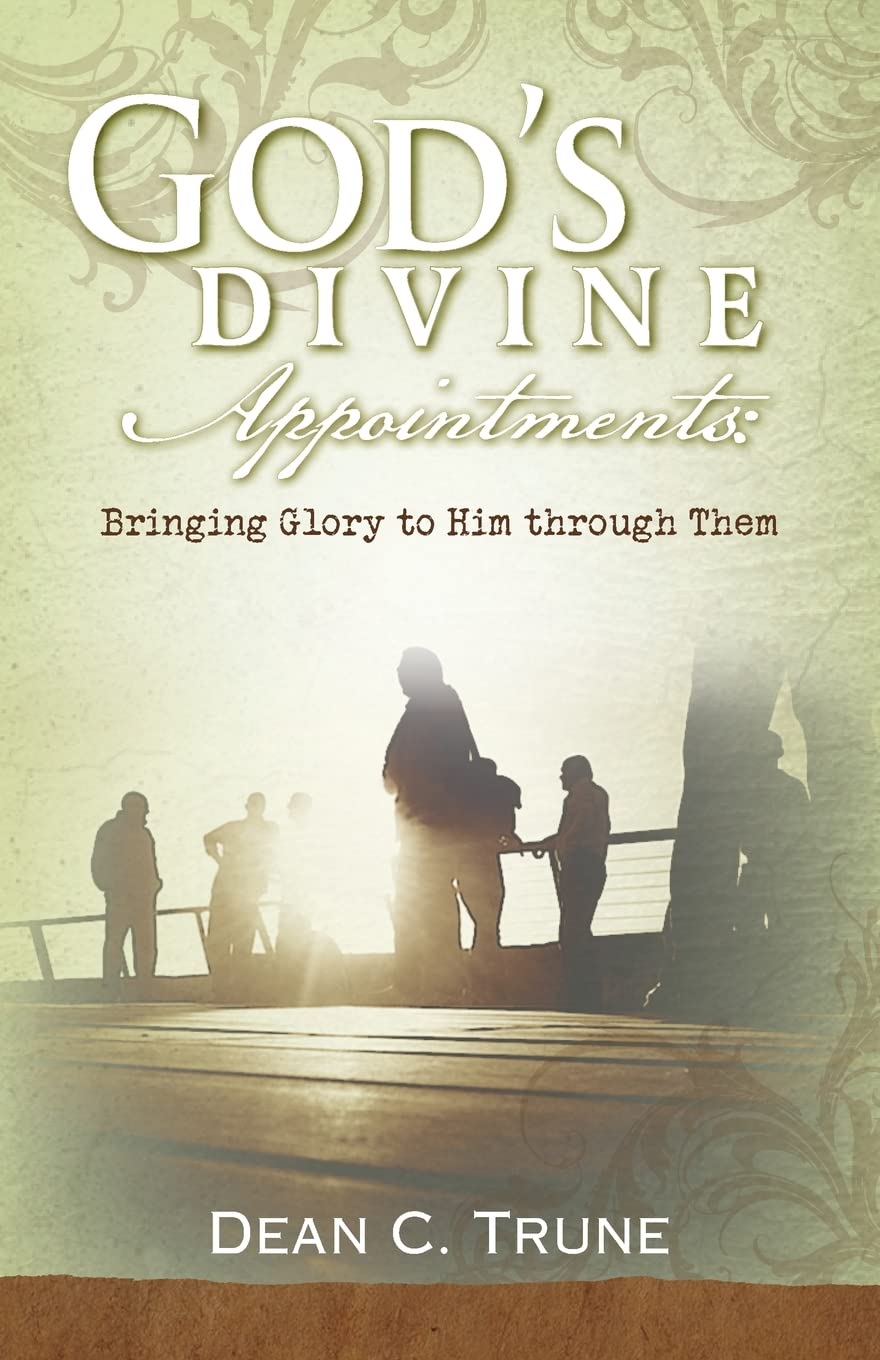 God'S Divine Appointments: Bringing Glory To Him Through Them,Used