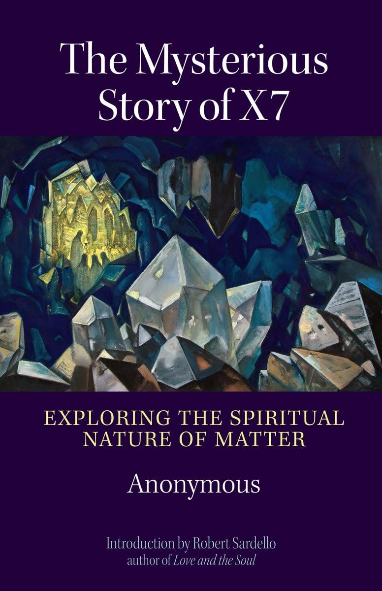 The Mysterious Story of X7: Exploring the Spiritual Nature of Matter,Used