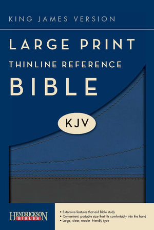 Holy Bible: King James Version, Slate/Blue, Flexisoft, Thinline Reference,Used