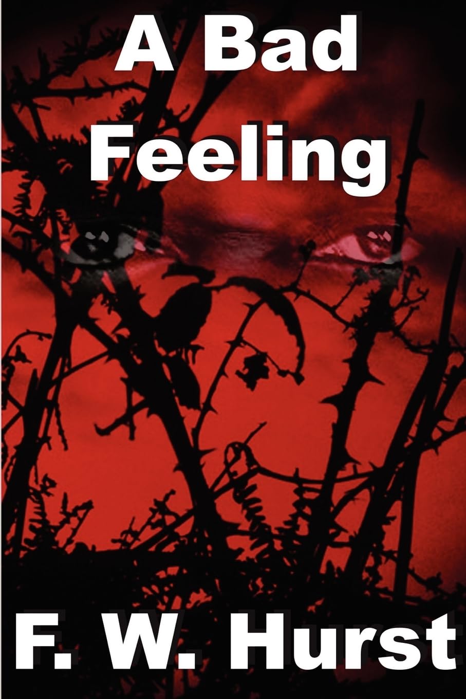 A Bad Feeling,Used