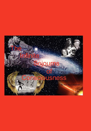 The Infinite Sojourns Of Consciousness,Used