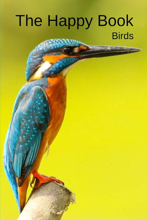 The Happy Book Birds: A picture book gift for Seniors with dementia or Alzheimers patients. 40 colourful photos of birds with th,Used