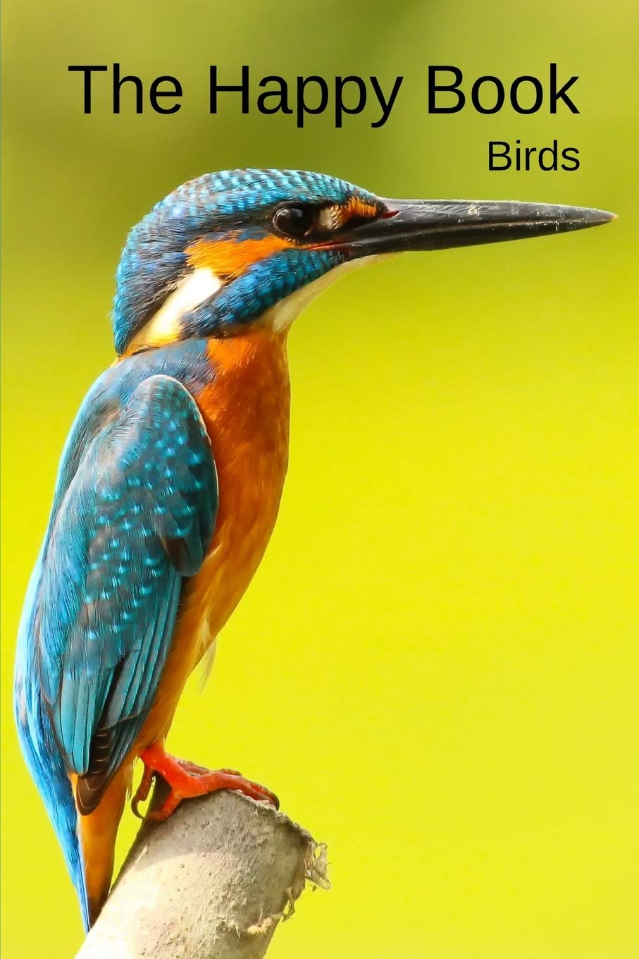 The Happy Book Birds: A picture book gift for Seniors with dementia or Alzheimers patients. 40 colourful photos of birds with th,Used