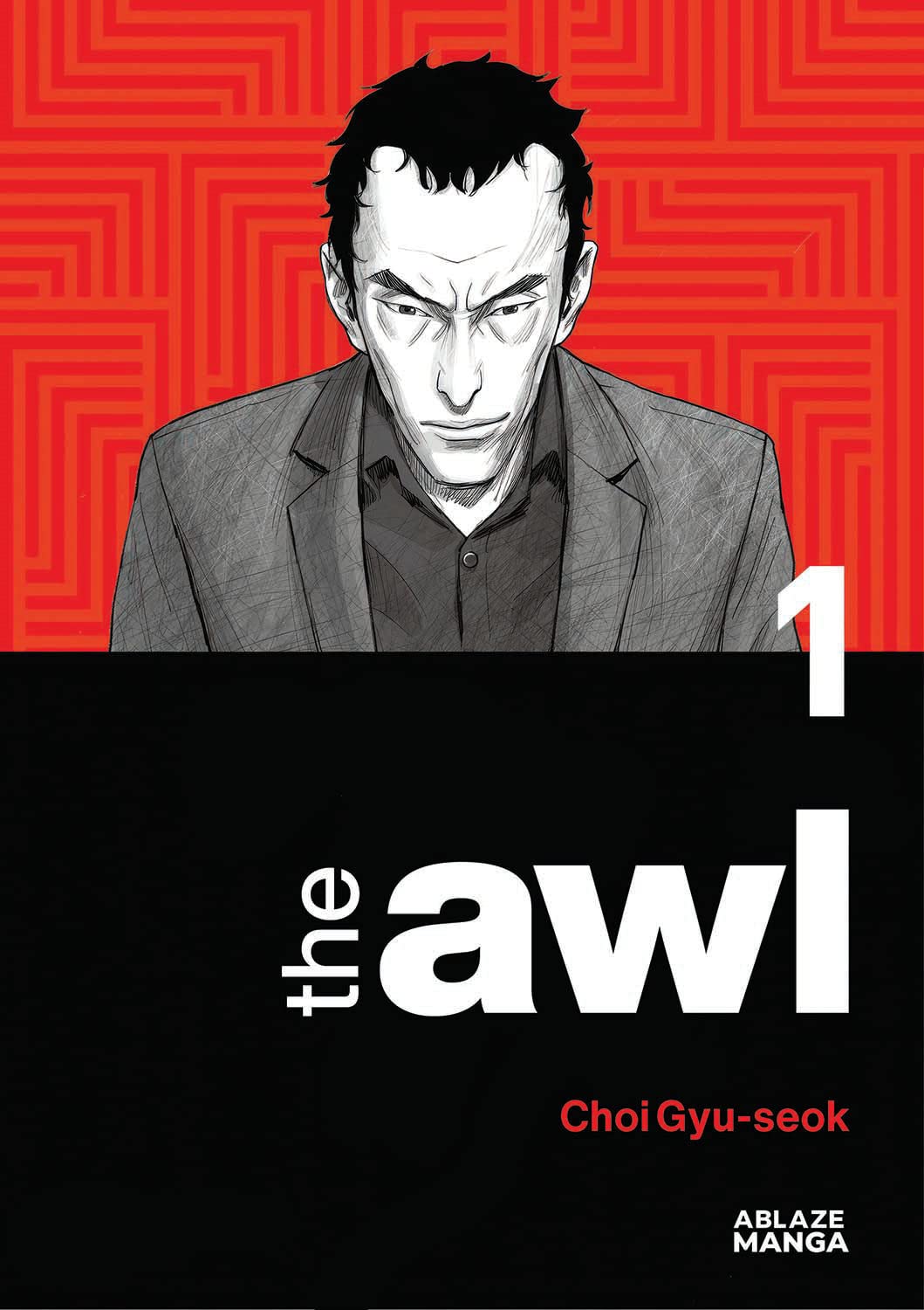 The Awl Vol 1 (THE AWL GN),New
