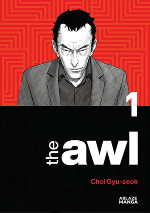The Awl Vol 1 (THE AWL GN),New