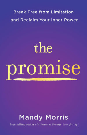 The Promise: Break Free From Limitation And Reclaim Your Inner Power,Used