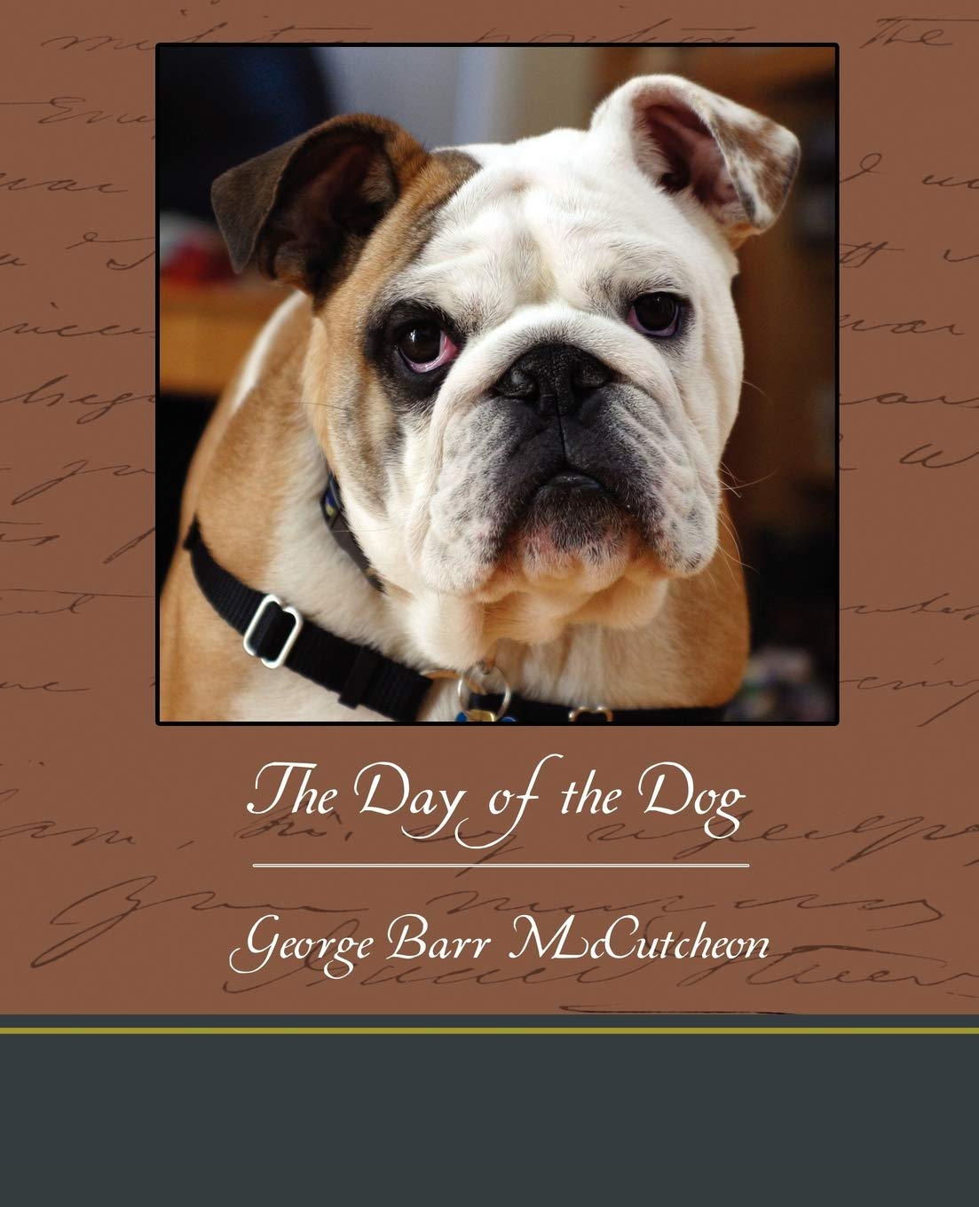 The Day Of The Dog,Used