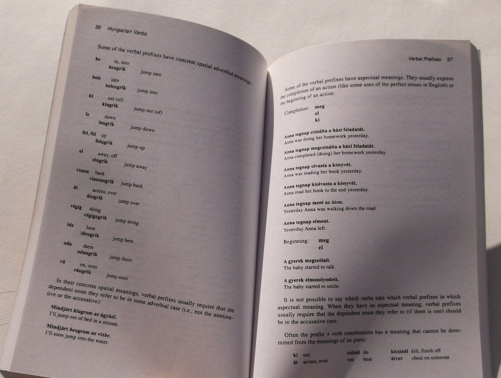 Hungarian Verbs And Essentials of Grammar,Used