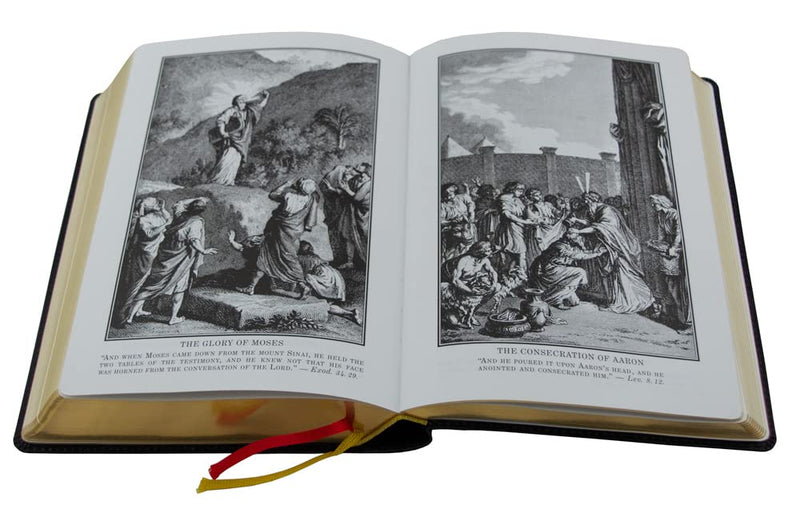 DouayRheims Bible {Standard size  Black Flex Cover},New