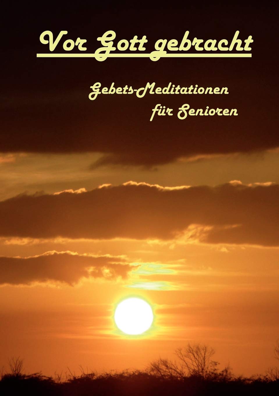 Vor Gott gebracht: GebetsMeditationen fr Senioren (German Edition),Used