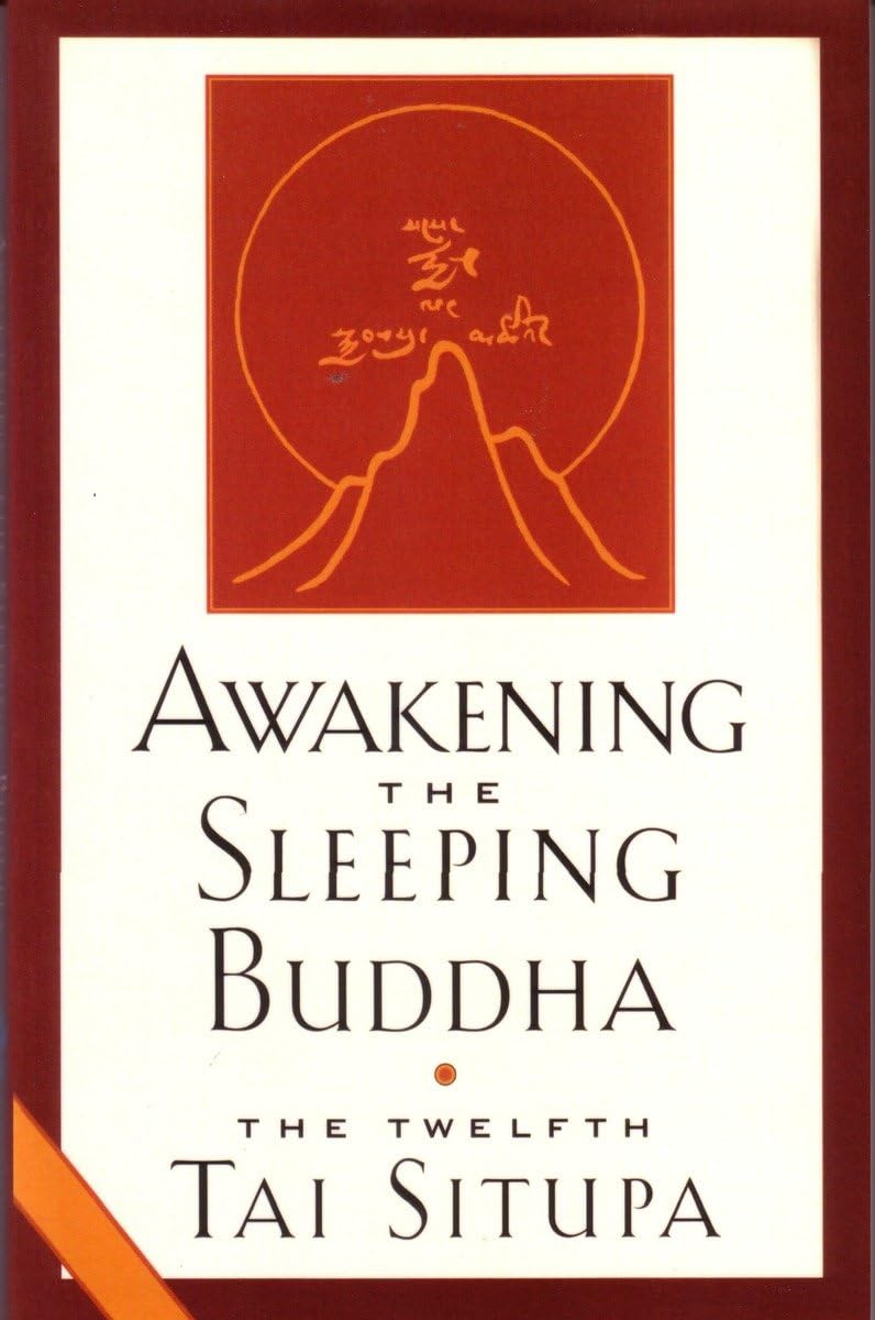 Awakening the Sleeping Buddha,Used