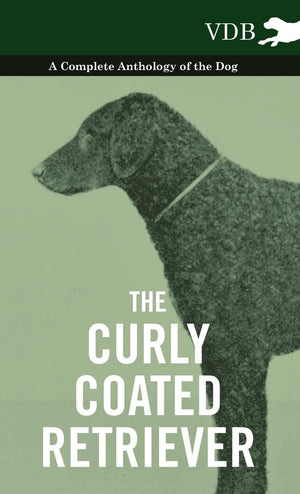 The Curly Coated Retriever  A Complete Anthology Of The Dog : Vintage Dog Books,Used