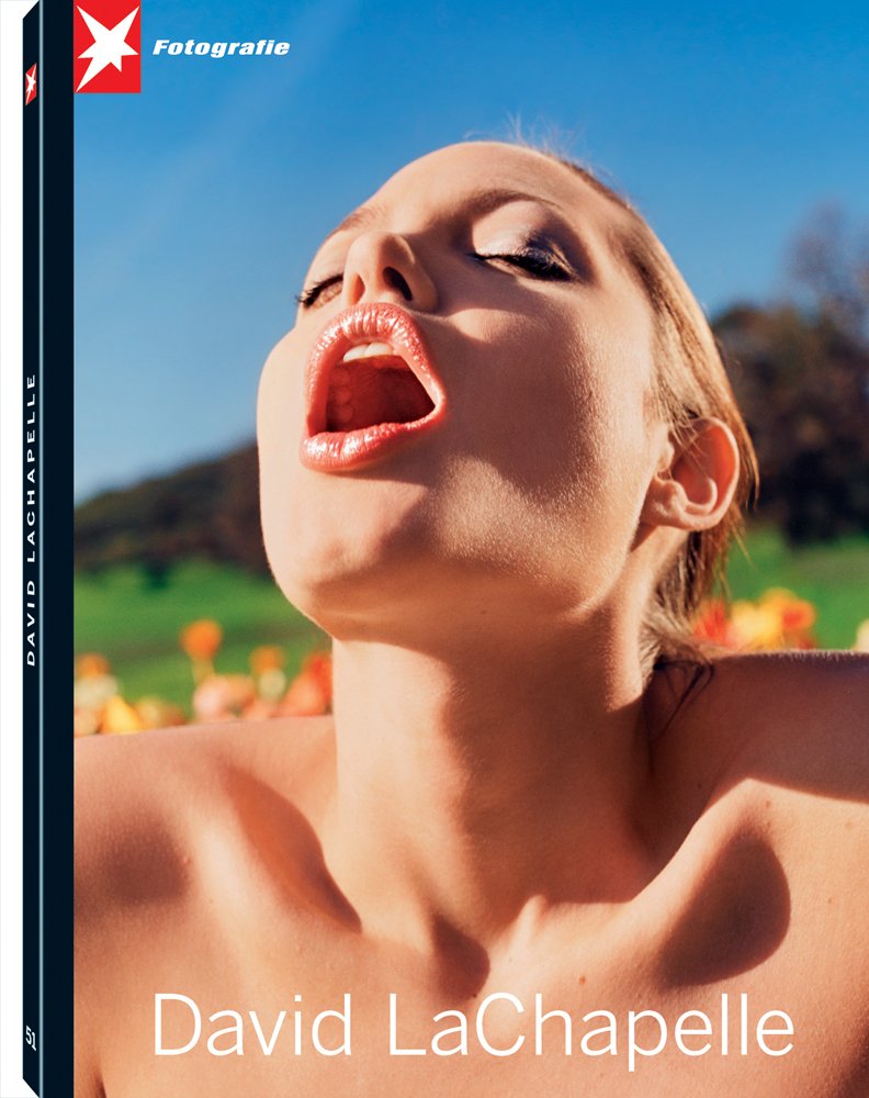 David LaChapelle Stern Portfolio (Stern Fotografie Portfolio),Used