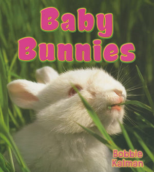 Baby Bunnies (It's Fun to Learn about Baby Animals),Used