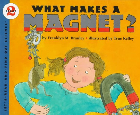 What Makes a Magnet? (Let'SReadAndFindOut Science. Stage 2),Used