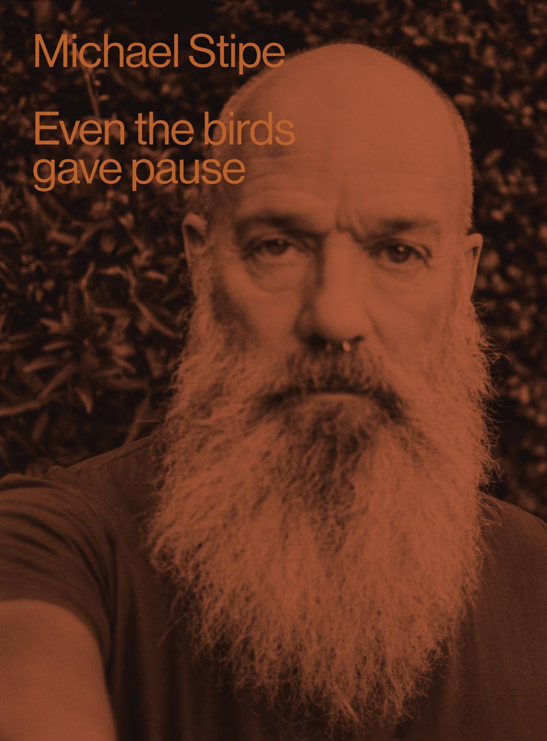 Michael Stipe: Even the Birds Gave Pause,New
