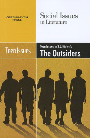 Teen Issues in S. E. Hinton's the Outsiders (Social Issues in Literature),Used