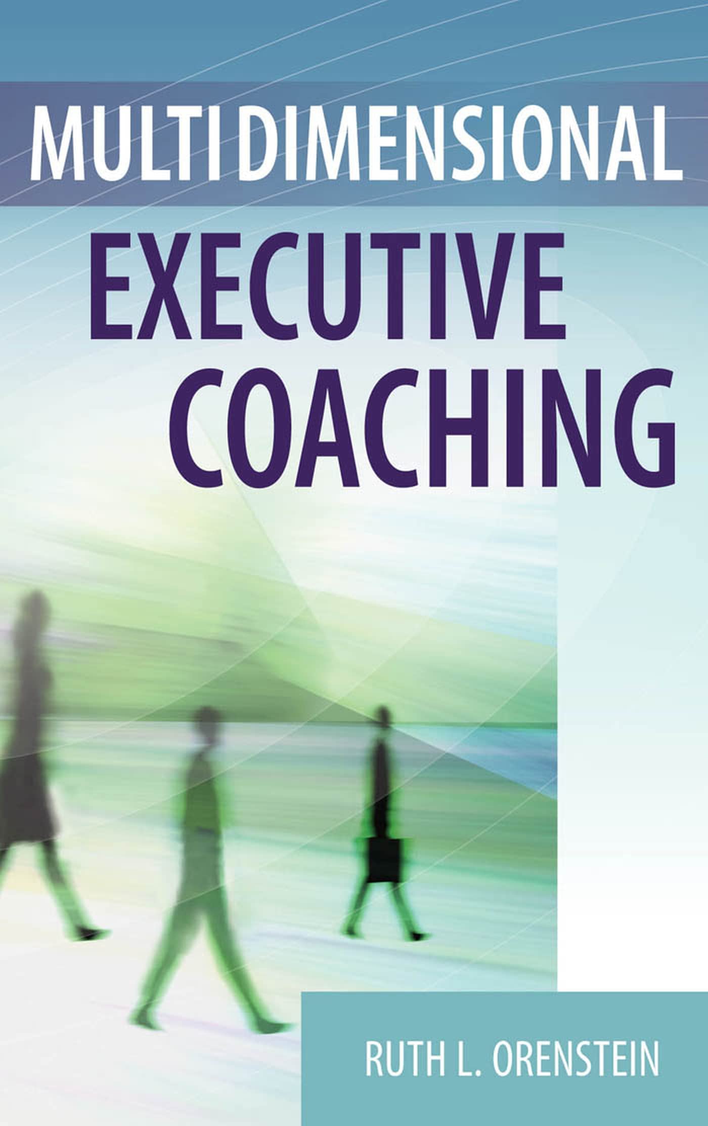 Multidimensional Executive Coaching,Used
