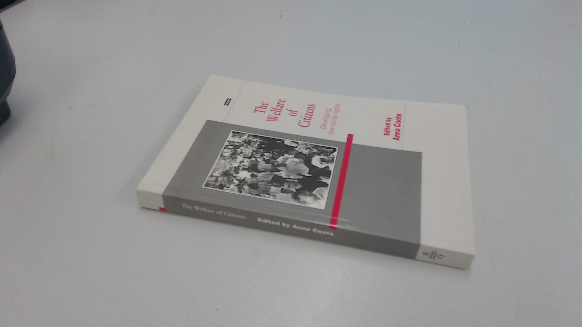 The Welfare of citizens: Developing new social rights,Used