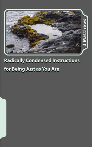 Radically Condensed Instructions for Being Just as You Are,Used