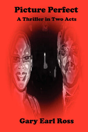 Picture Perfect A Thriller In Two Acts,New