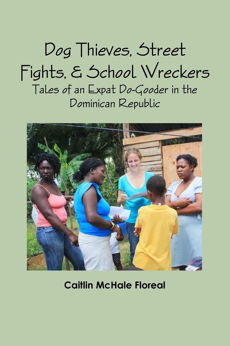 Dog Thieves, Street Fights, & School Wreckers: Tales of an Expat DoGooder in the Dominican Republic,Used