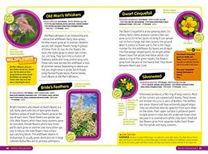 Ultimate Explorer Field Guide: Wildflowers,Used