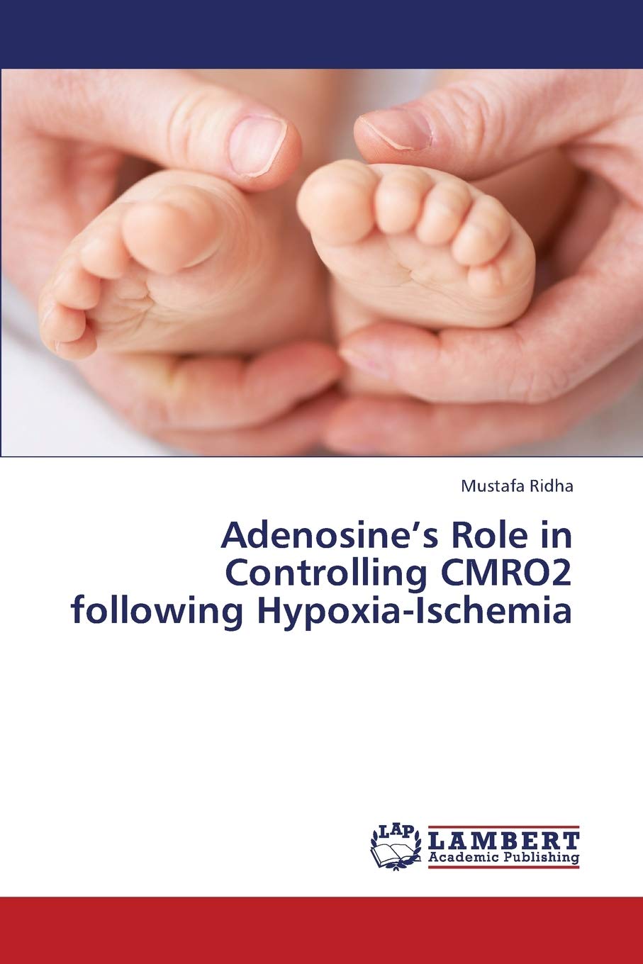 Adenosines Role in Controlling CMRO2 following HypoxiaIschemia,Used