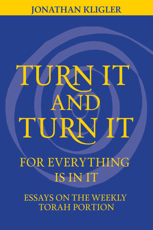 Turn It and Turn It for Everything Is in It: Essays on the Weekly Torah Portion,Used