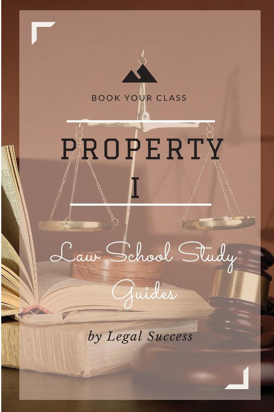 Law School Study Guides: Property I Outline,Used