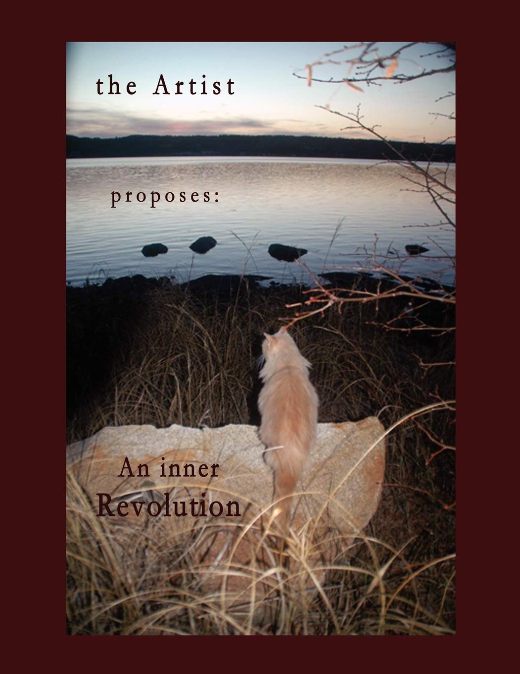 The Artist Proposes: An Inner Revolution,Used