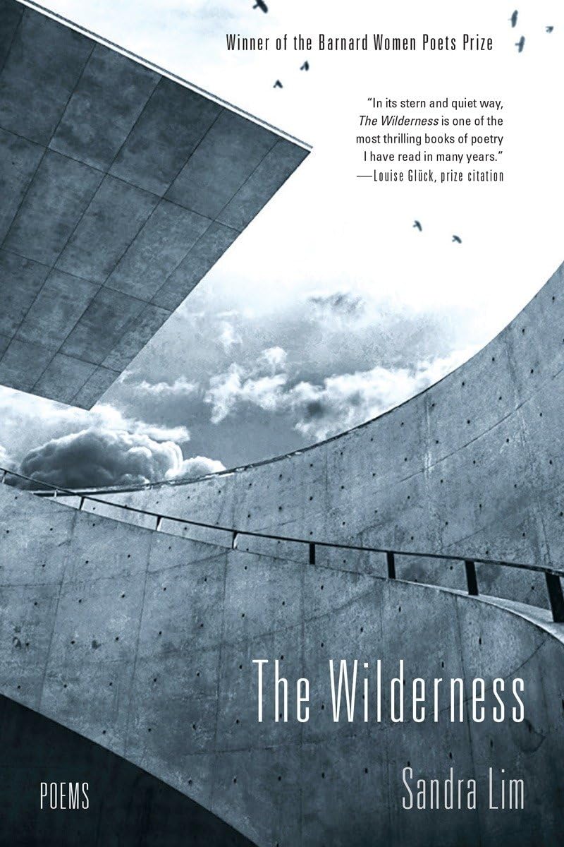 The Wilderness: Poems,Used