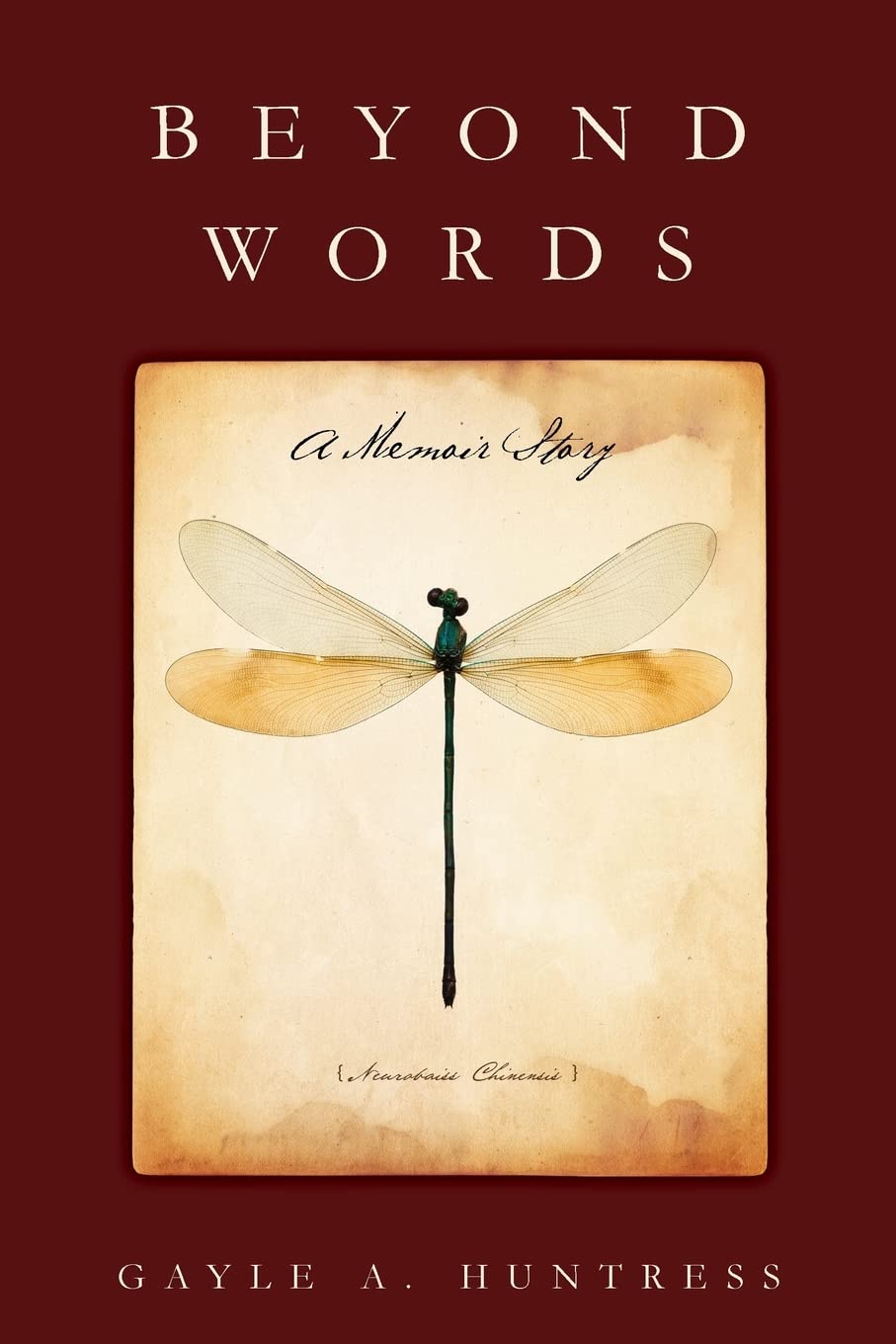 Beyond Words: A Memoir Story,Used