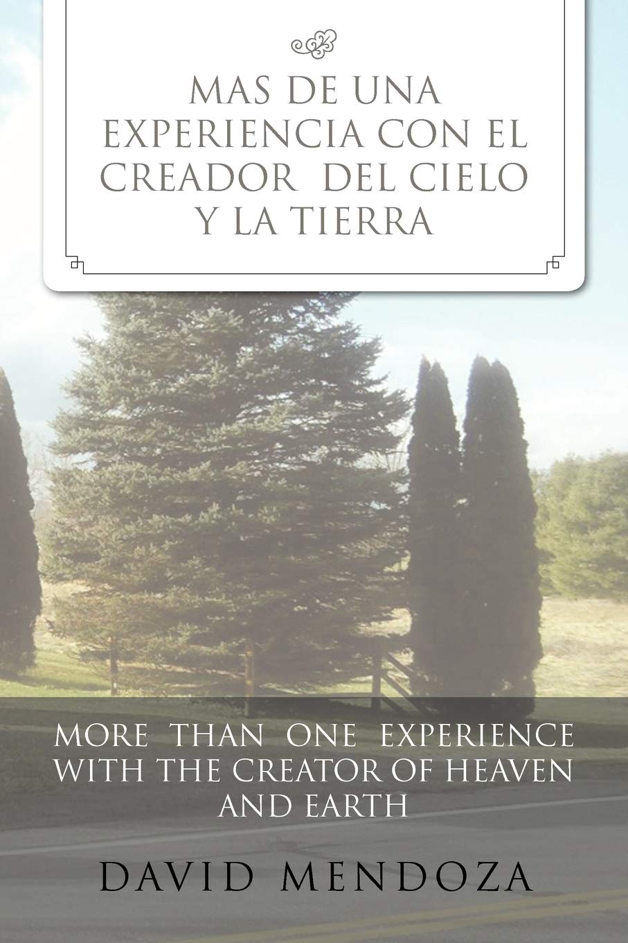 Mas De Una Experiencia Con El Creador Del Cielo Y La Tierra /More Than One Experience With The Creator Of Heaven And Earth (Span,New