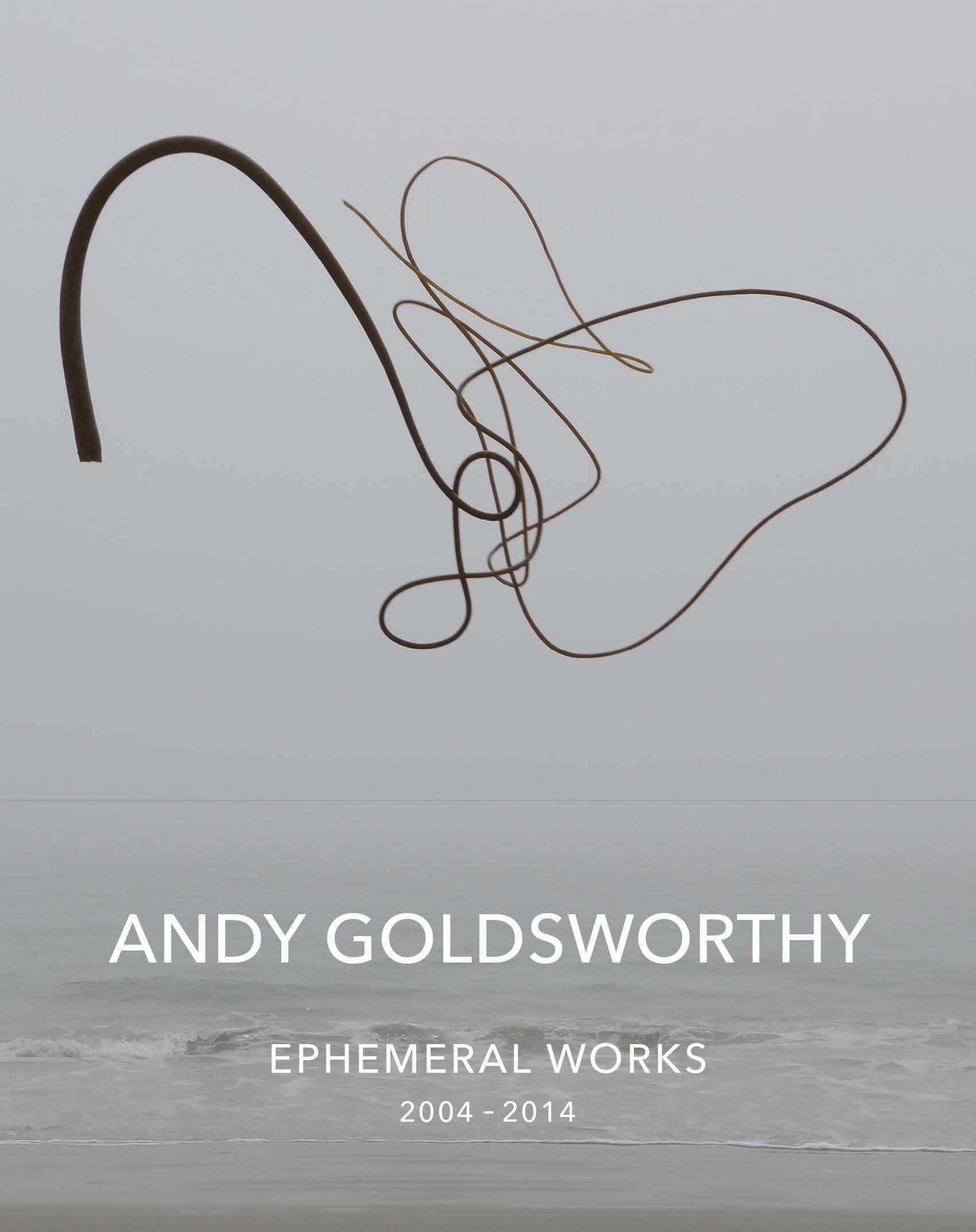 Andy Goldsworthy: Ephemeral Works: 20042014
